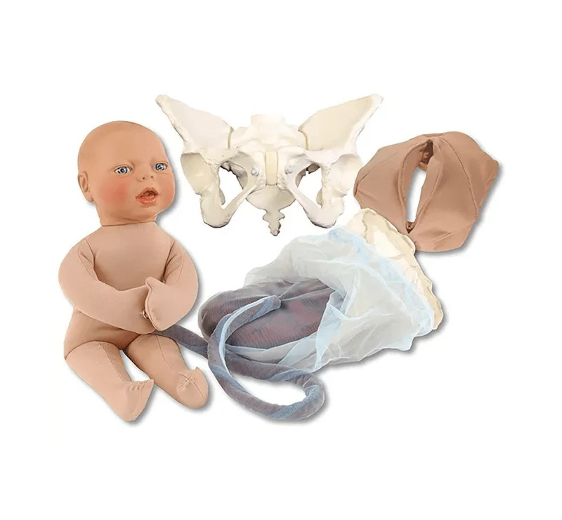 Luxus Geburtsmodell-Set