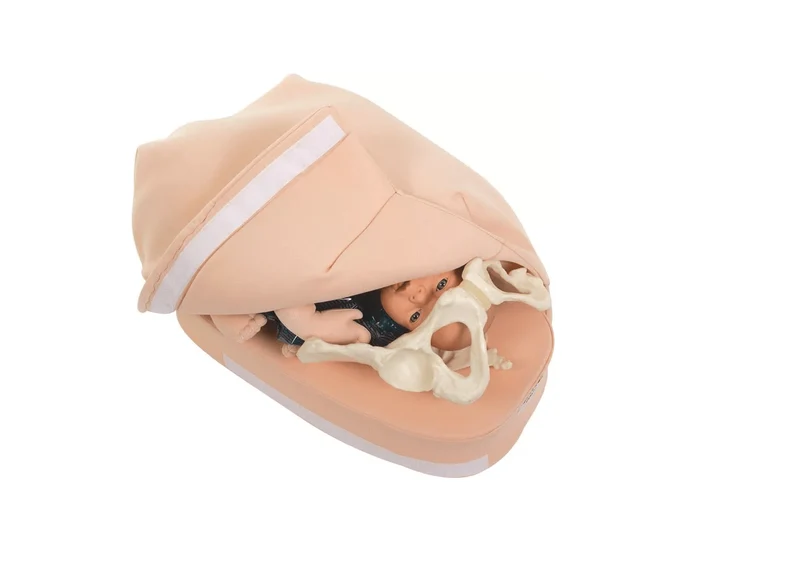 Modellset abdominale Palpation
