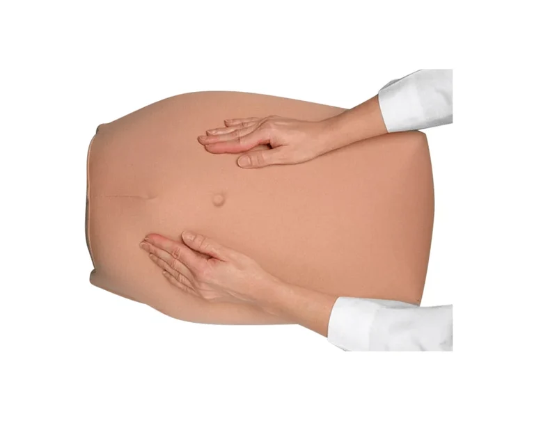 Modellset abdominale Palpation