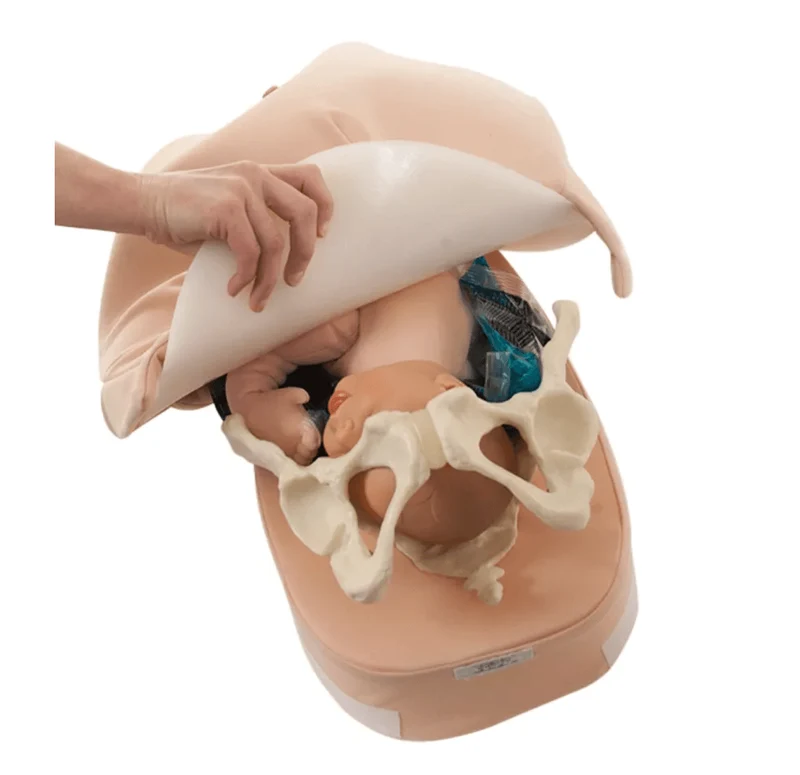 Modellset abdominale Palpation