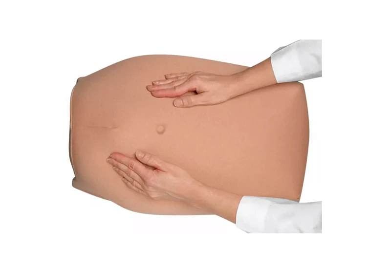 Modellset abdominale Palpation
