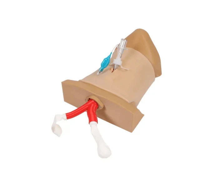 Crico Chris – Koniotomie Task Trainer