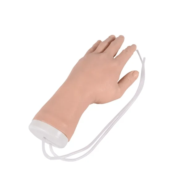 IV Hand