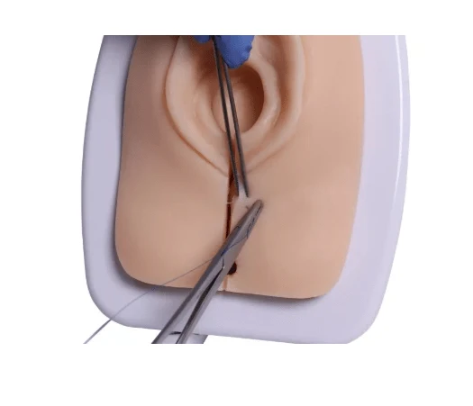 Episiotomie Simulator