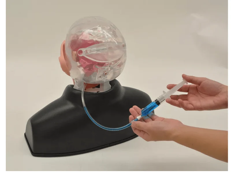 Nasopharyngealer Abstrichsimulator