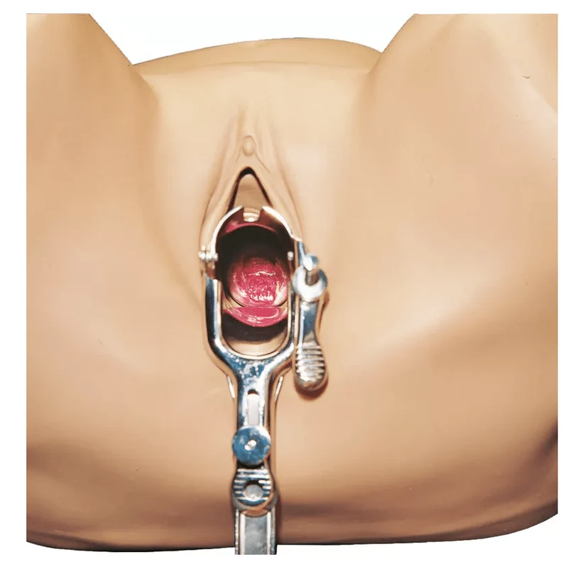 GYN/AID Gynäkologischer Simulator