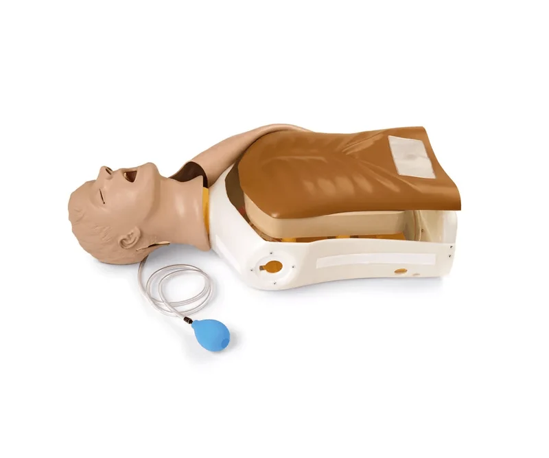 Airway Larry Erwachsenen-Airway Management Trainer Torso
