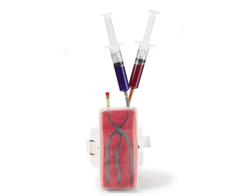 Injektionstrainer Arm mit Venen & Arterie