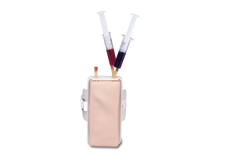 Injektionstrainer Arm mit Venen & Arterie