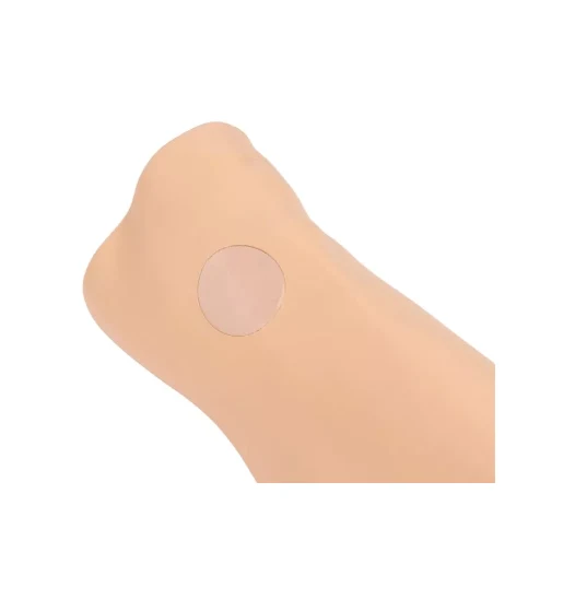 Louis Leg - intraossärer Task Trainer