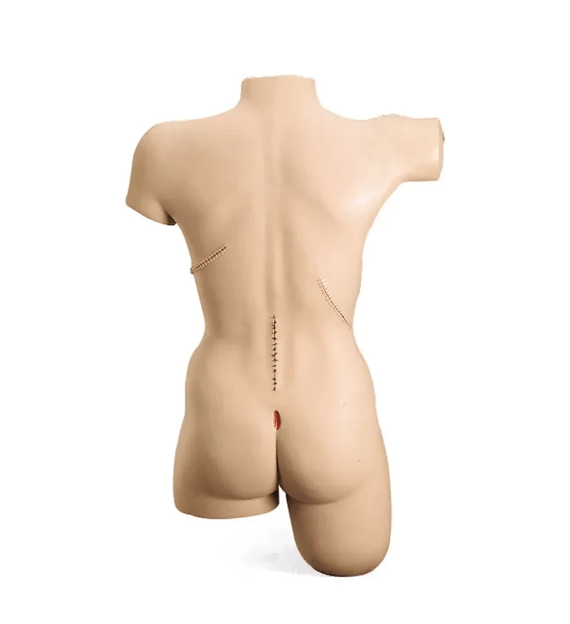 Verband-Simulator