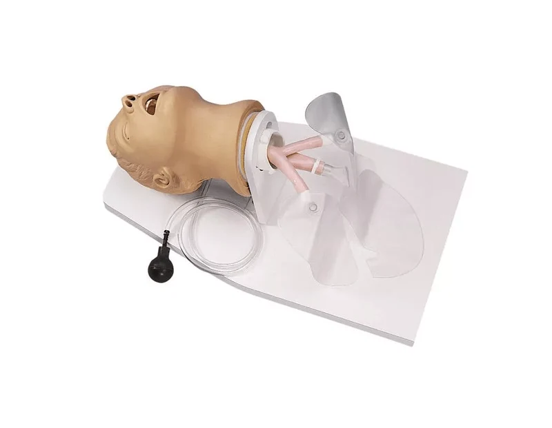 Intubationstrainer Erwachsener