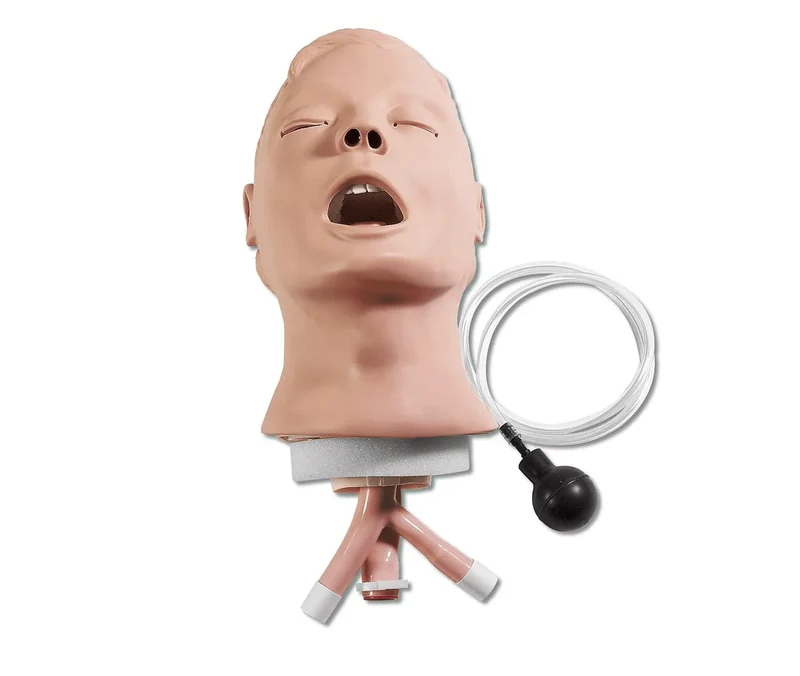 Airway Larry Atemweg-Trainer für R10052