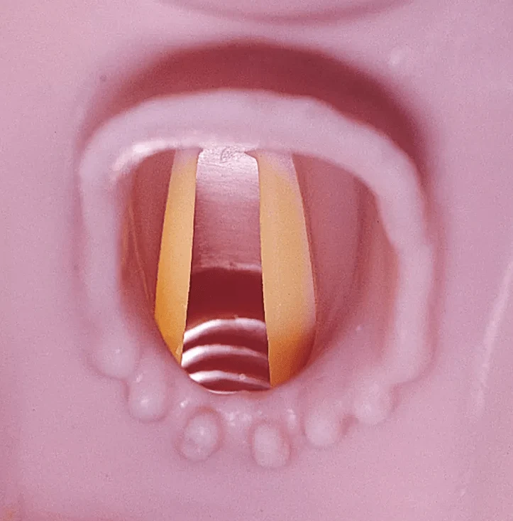 Airway Larry Atemweg-Trainer für R10052