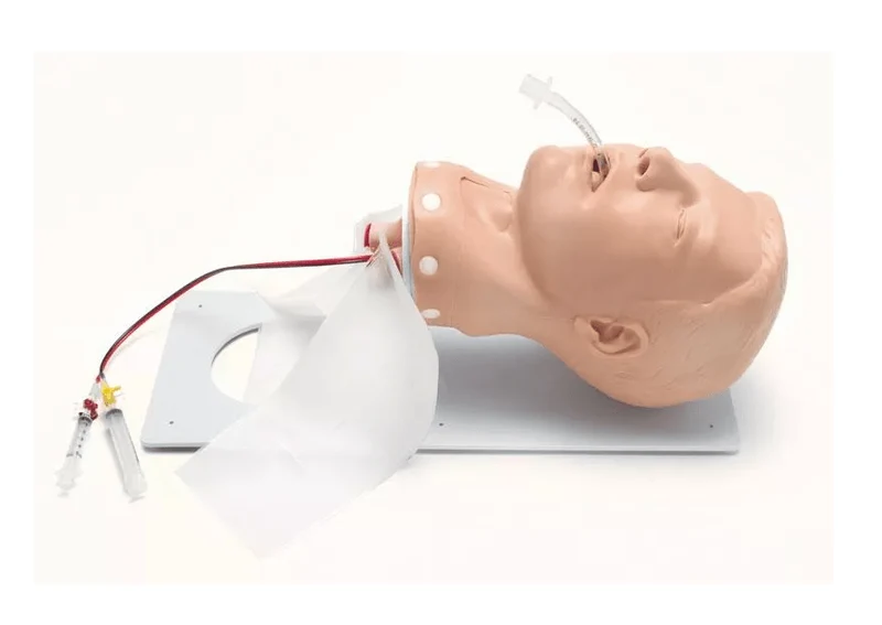 Deluxe Airway Management Trainer Erwachsener