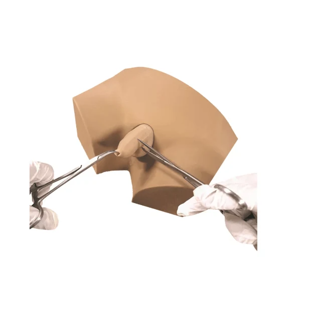 Beschneidungstrainer Circumsision Chalid