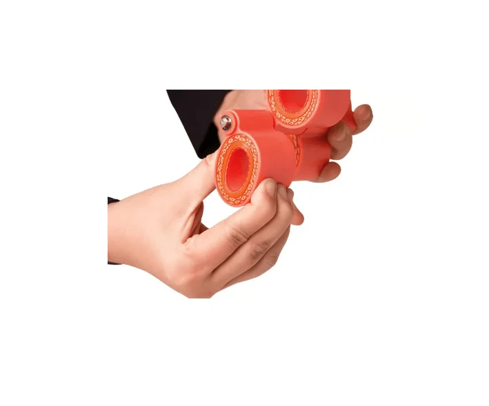 Arteriosklerosemodell, 4-teilig