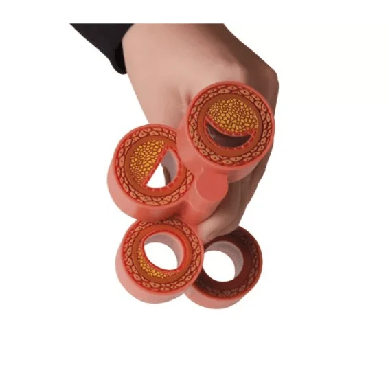 Arteriosklerosemodell, 4-teilig