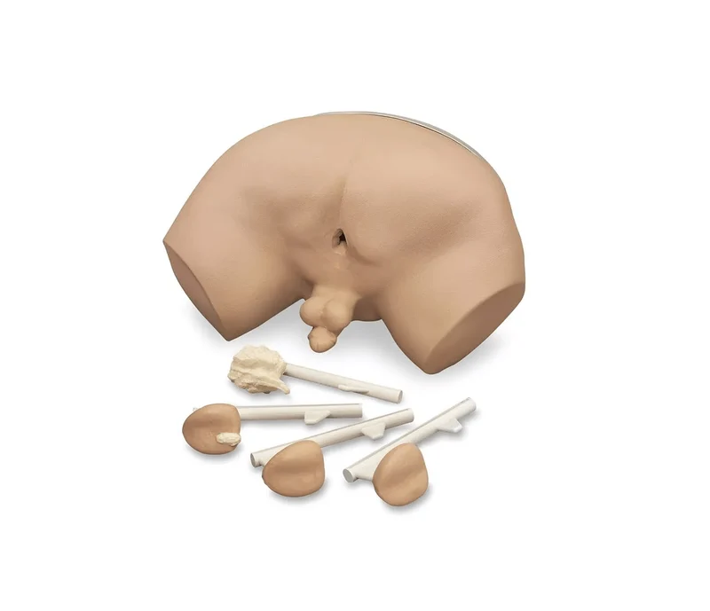 Prostatauntersuchungs-Simulator