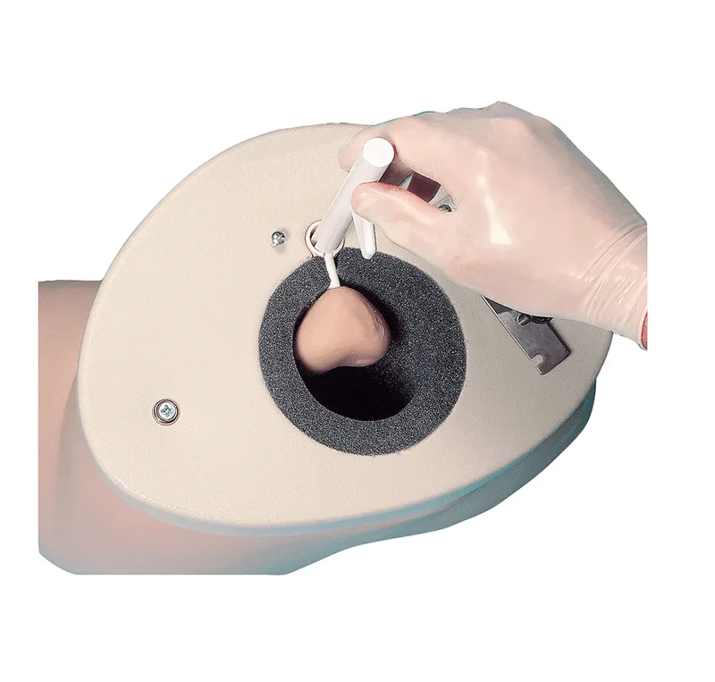 Prostatauntersuchungs-Simulator