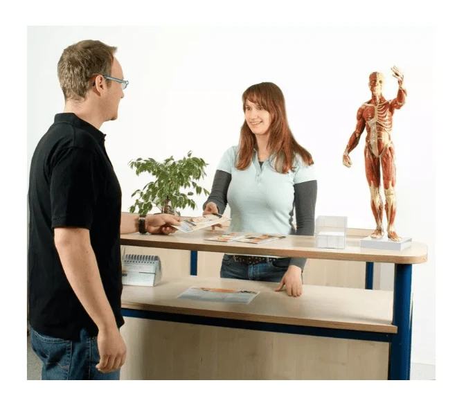Muskelfigur, 1/3 natürliche GrößeMuskelfigur, 1/3 natürliche Größe