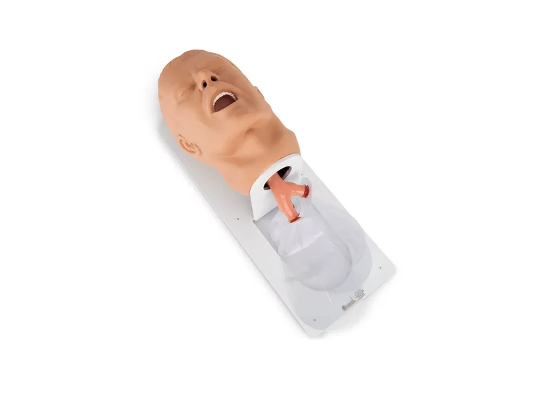 Erwachsenen – Intubationstrainer “Economy” auf Grundplatte