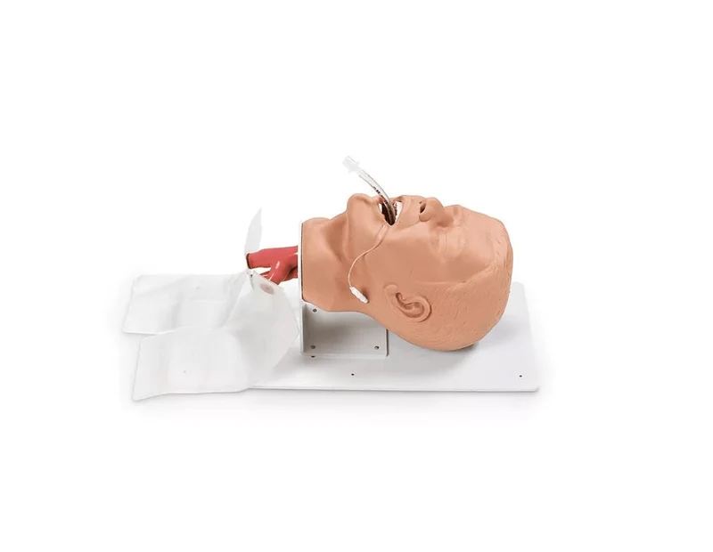Erwachsenen – Intubationstrainer “Economy” auf Grundplatte