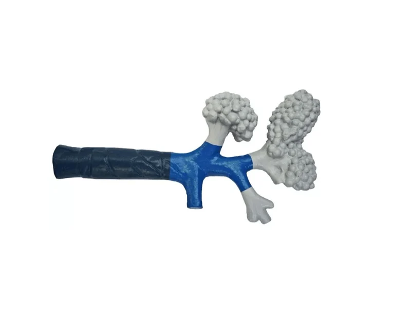 Bronchiole