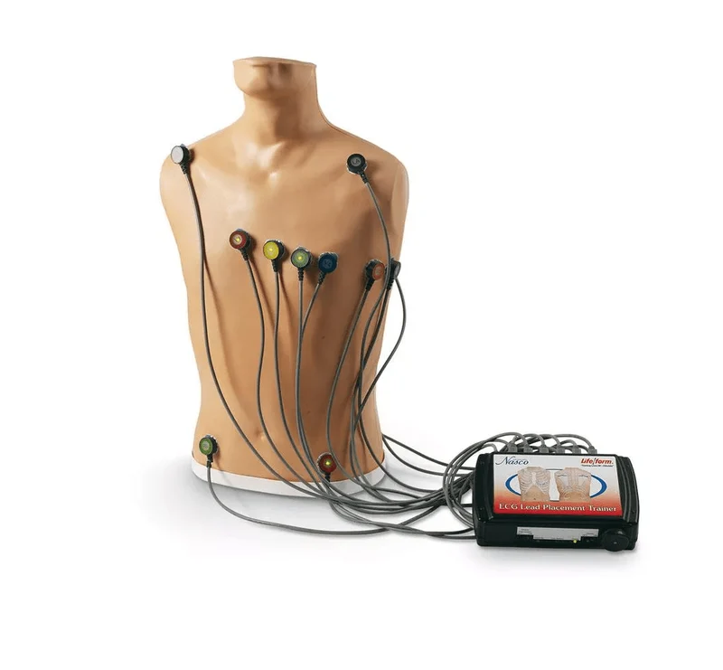 EKG-Trainingsgerät