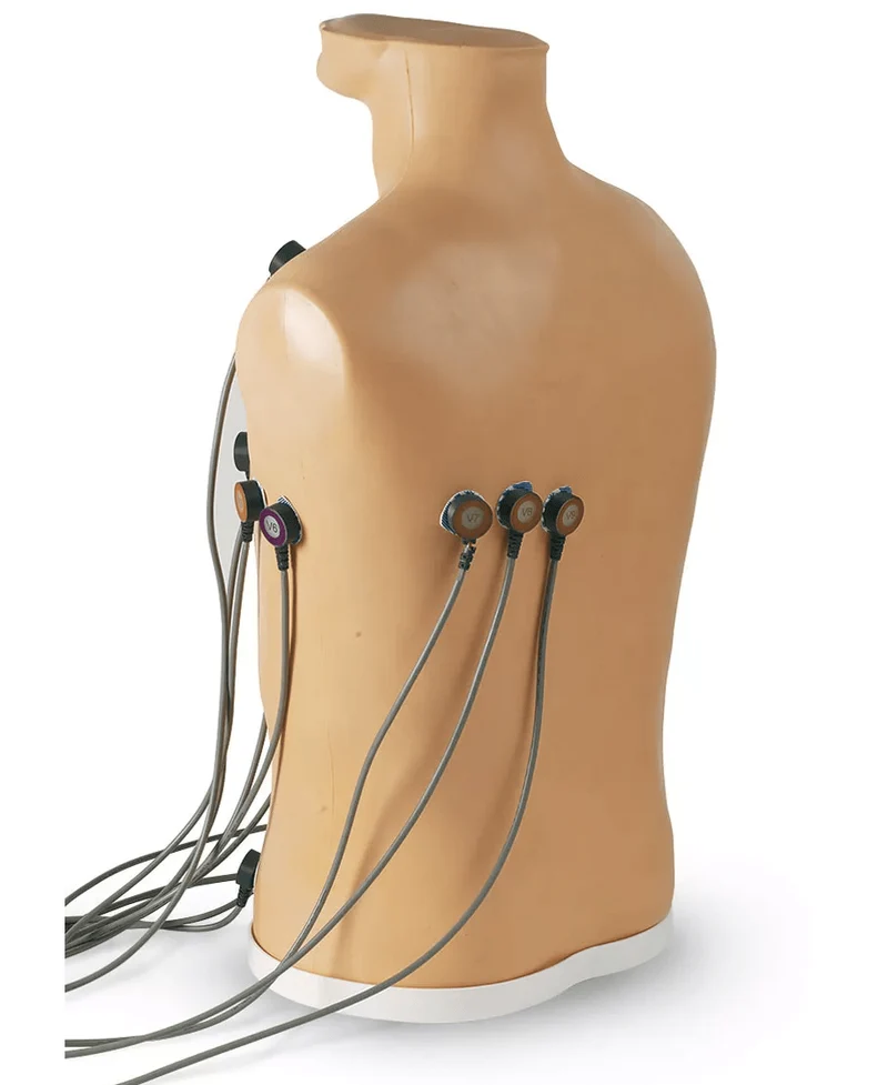 EKG-Trainingsgerät
