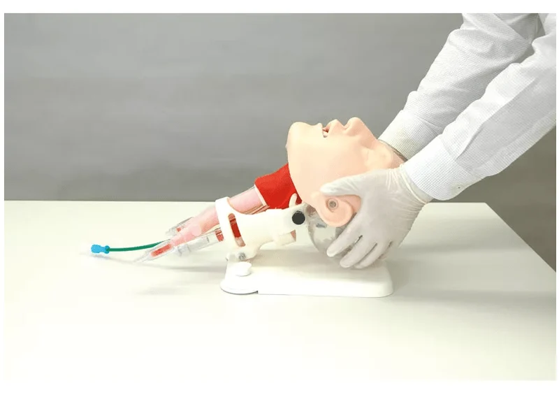 Demonstrationsmodell schwieriges Atemwegsmanagement