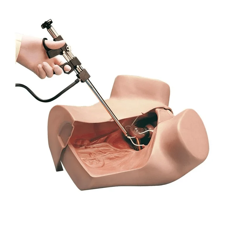 Gynäkologischer Simulator