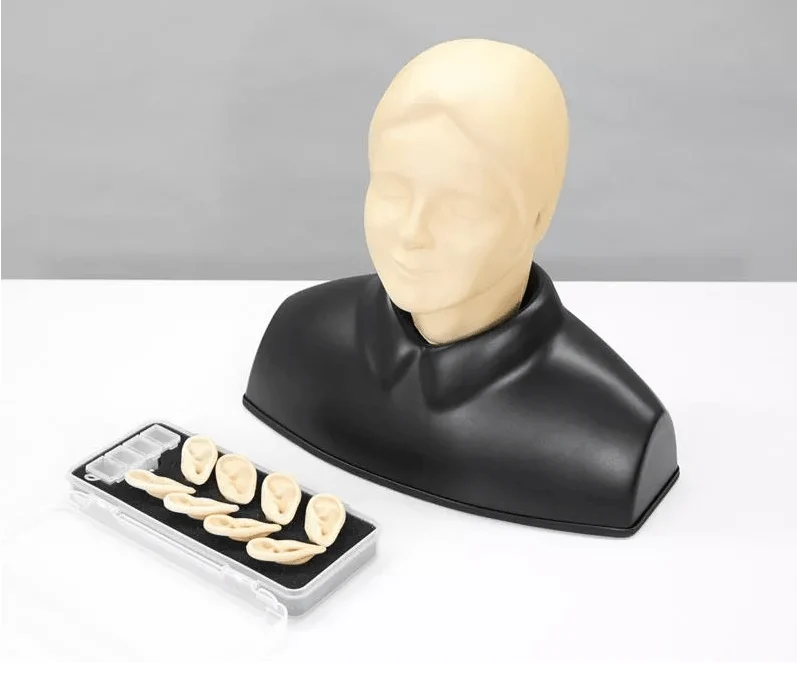 Ohr-Untersuchungs-Simulator