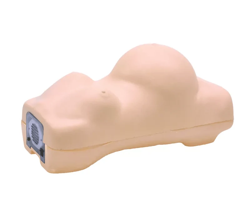 Schwangerschafts-Untersuchungs-Simulator