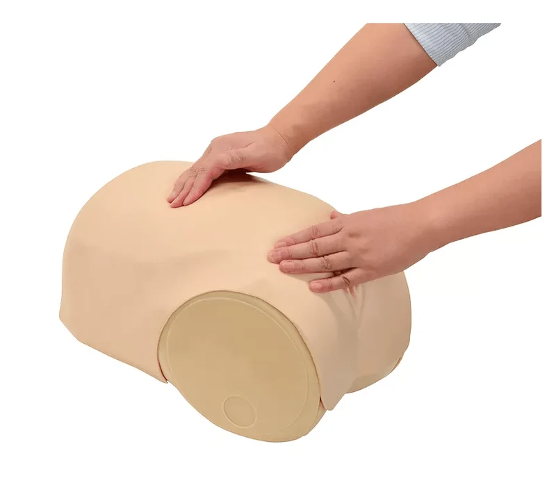 Simulator zur Uterus - Rückbildungsuntersuchung