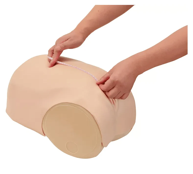 Simulator zur Uterus - Rückbildungsuntersuchung