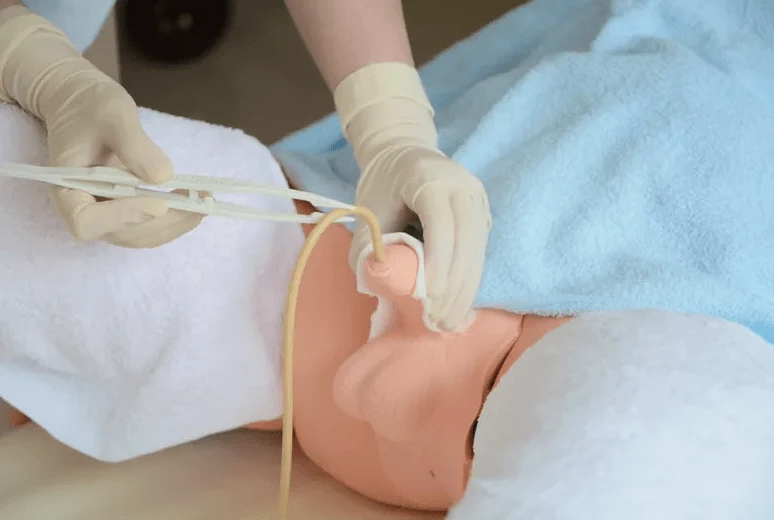Männliches Genital für R16228