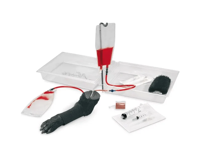 Hundebein Infusionstrainer mit Venensystem