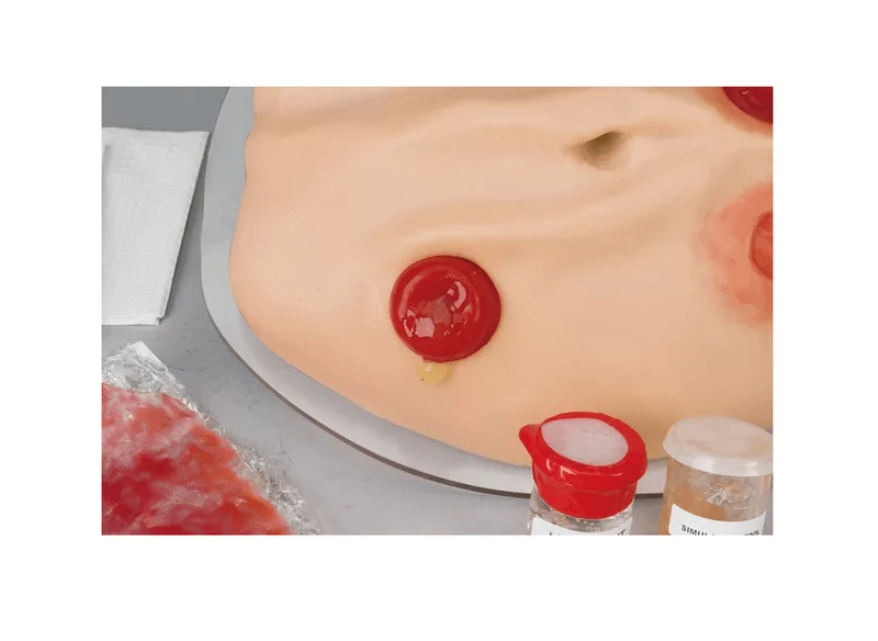 Stoma-Simulator mit 4 auswechselbaren Stomata