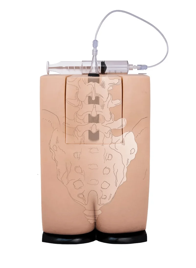 Epidural- und Spinalinjektionssimulator Genesis