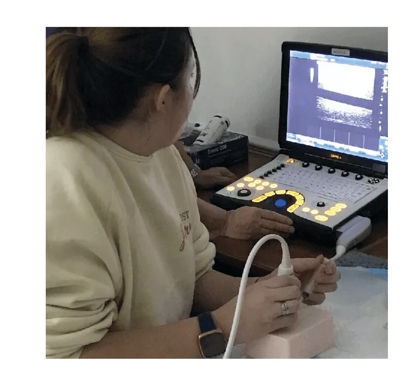 SonoEZ Ultraschalltrainer "verzweigtes Gefäß"