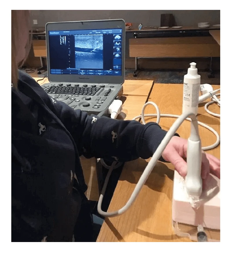 SonoEZ Ultraschalltrainer "verzweigtes Gefäß"