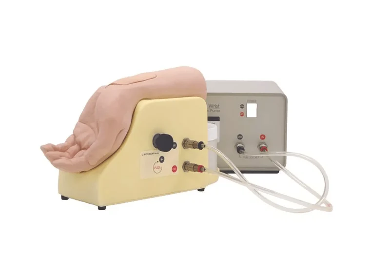 Handgelenk zur Arterienpunktion