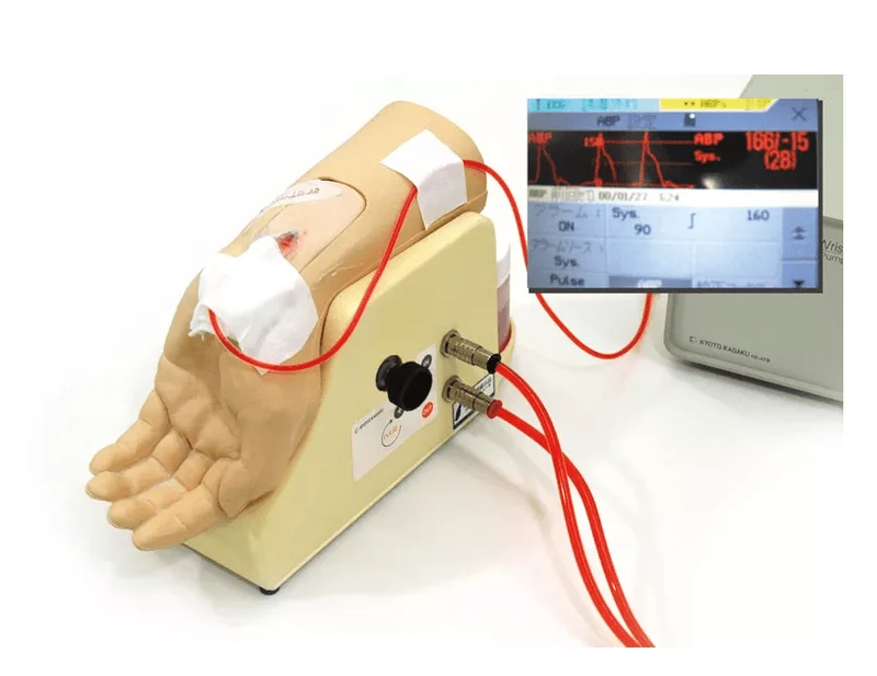 Handgelenk zur Arterienpunktion
