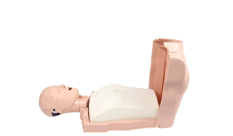 Prestan Pro+ HLW-Torso mit Leuchtanzeige