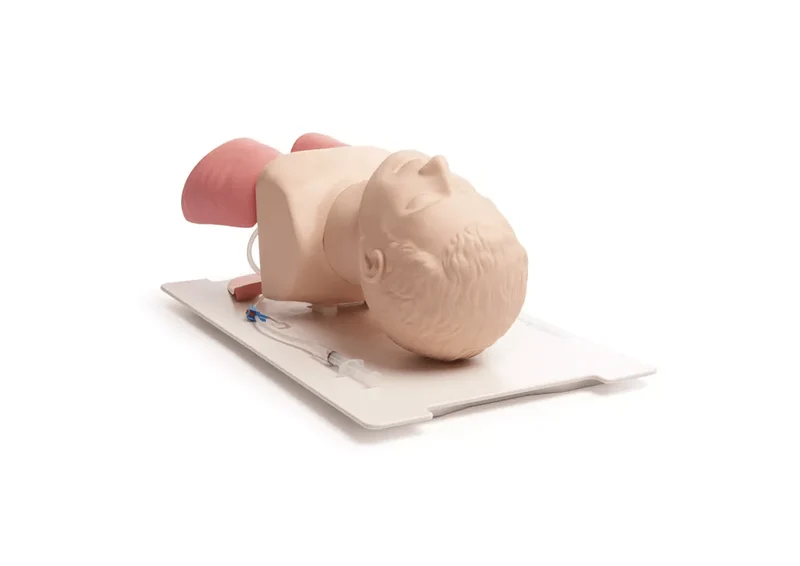 Airway Management Trainer