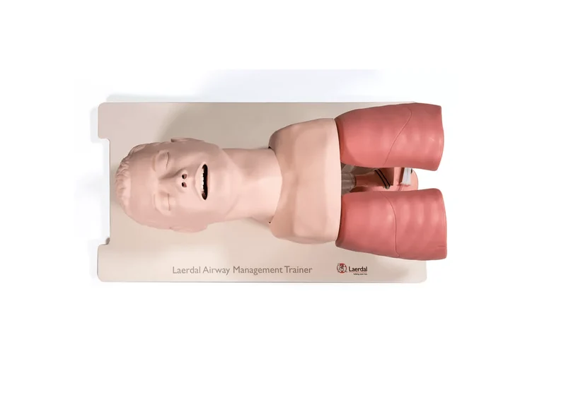 Airway Management Trainer