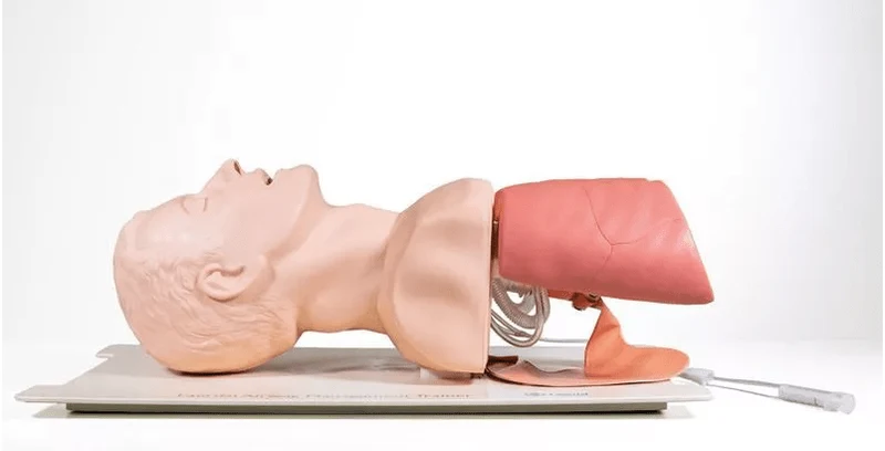 Neugeborenen Intubationstrainer