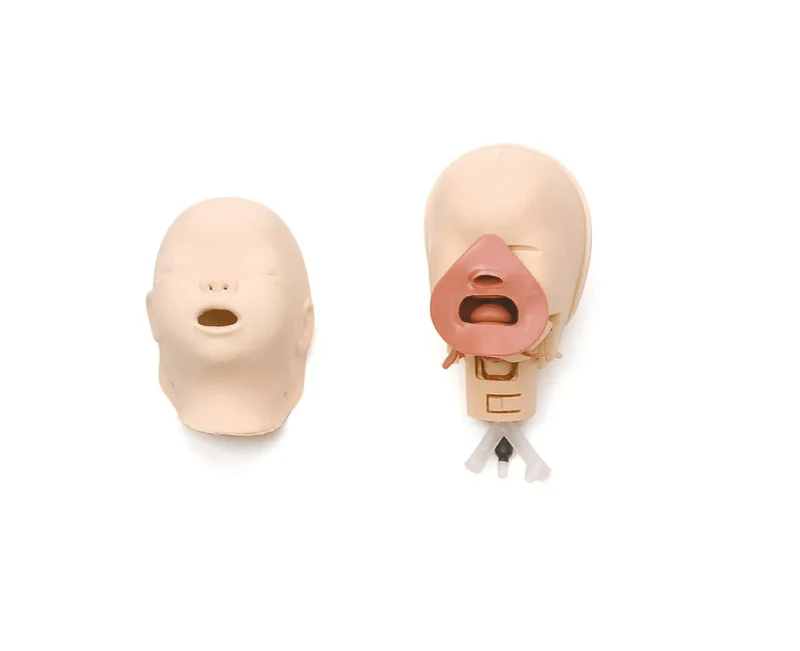 Neugeborenen Intubationstrainer