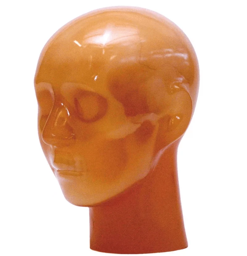 Angiographie Kopfmodell